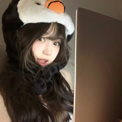 观鸟大年